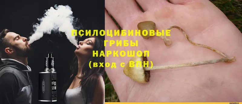 Галлюциногенные грибы GOLDEN TEACHER  Избербаш 